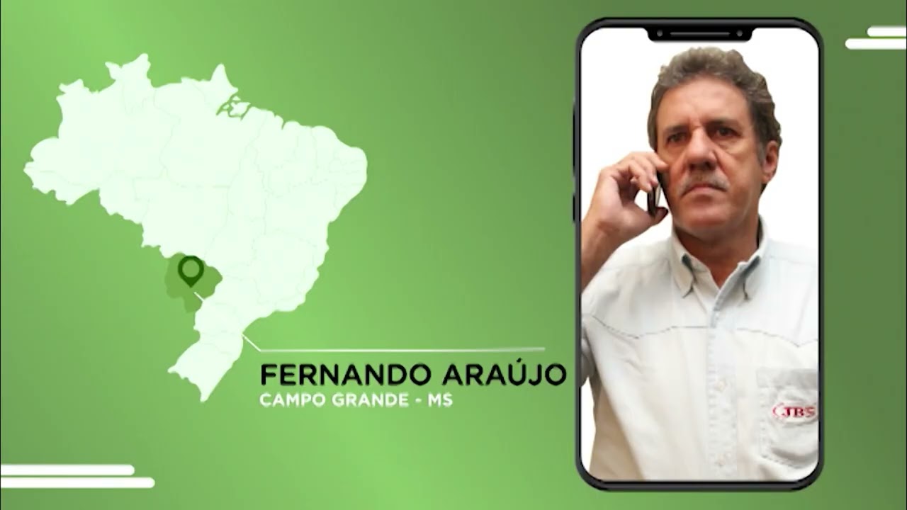 NOVILHADA MEIO-SANGUE ANGUS ULTRAPASSA 18 ARROBAS EM MS; VEJA DETALHES