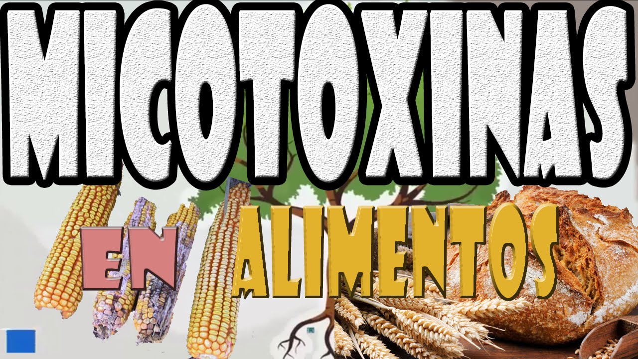 Micotoxinas en alimentos