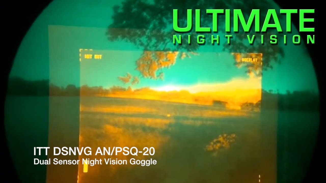 Thermal Scope Comparison: PSQ-20, LWTS, HD19A, X320, MTM