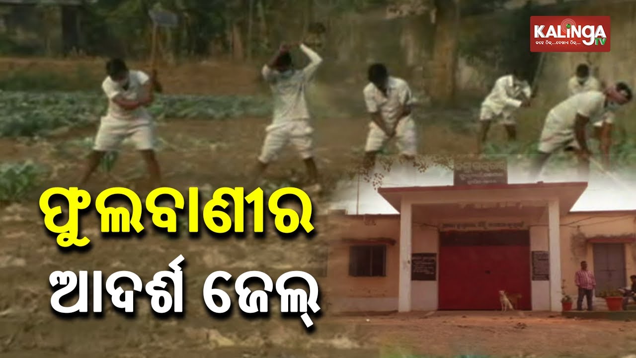 Reporter Special: Phulbani Jail Admin Implements Ways To Induce Change In Character Of Inmates
