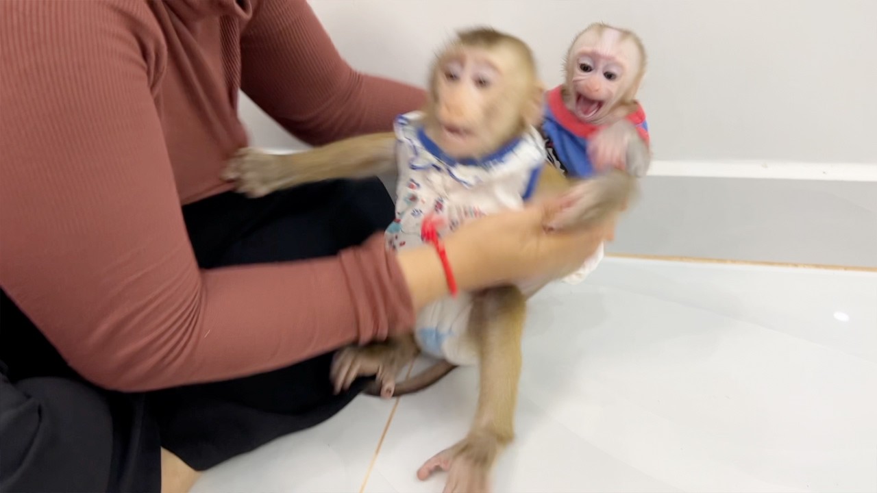 Dramatic Baby Tauch Burst Out Loud Sound Deny Stay With Silly Katy