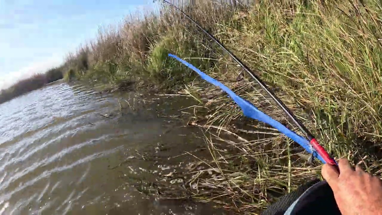 True Marsh Madness