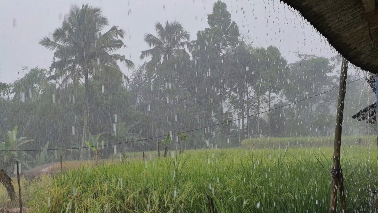 Heavy Rain Sounds for Deep Sleep 🌧️ | Fall Asleep Fast, Stay Asleep All Night