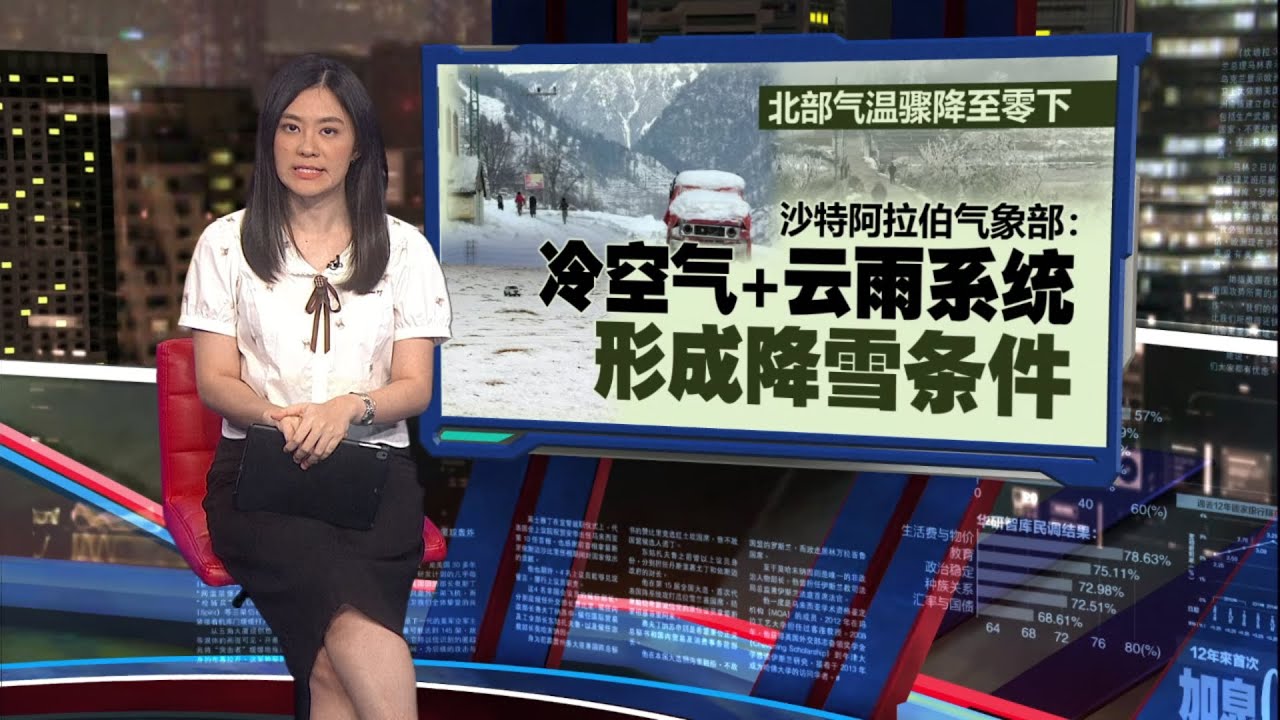 沙特阿拉伯罕见下雪！ 沙漠变身银白大地  连当地人也震撼 | 新闻报报看 19/12/2025