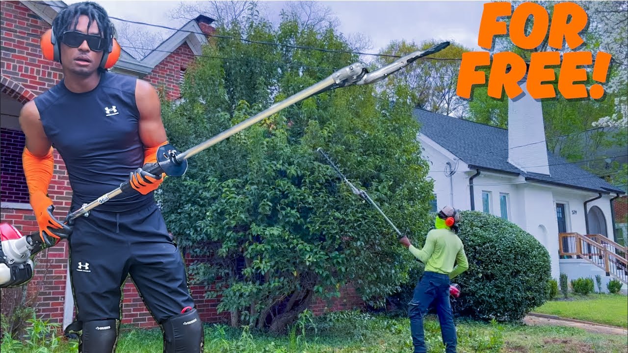 Transforming The MOST OVERGROWN SHRUBS on YouTube For FREE