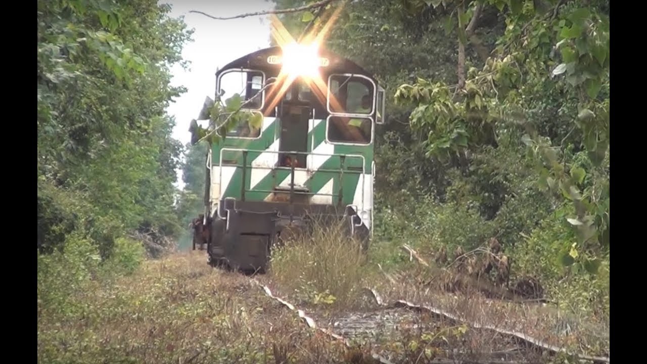 PREX 107 NW2 switcher and Husqvarna chainsaw Out of Service track Railroading ND&W Railroad