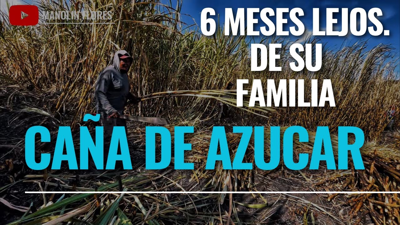 6 meses lejos de su familia para venir al corte de CAÑA DE AZÚCAR