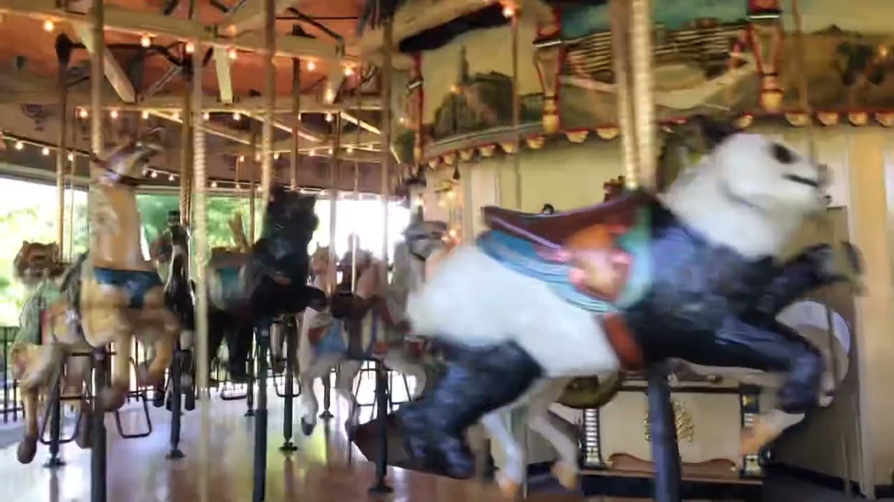 Union Park The Heritage Carousel ￼