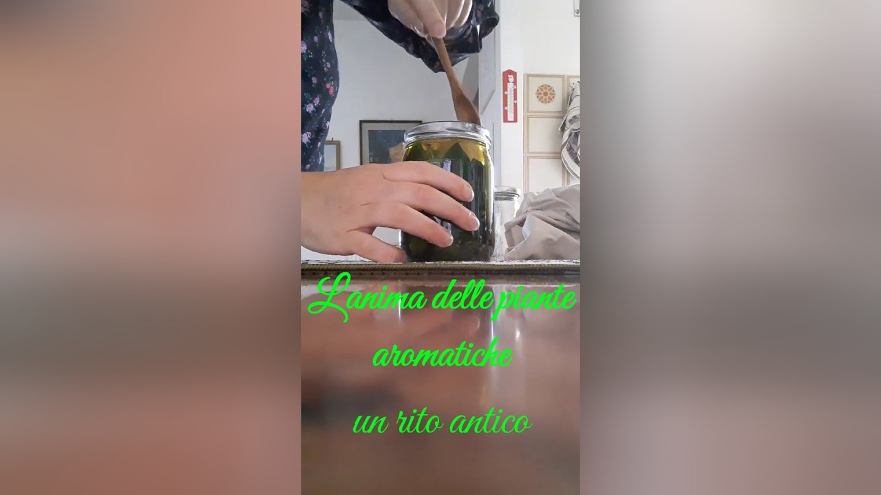Come fare gli Oleoliti di Alloro e Rosmarino 🌿 DIY Laurel & Rosemary Infused Oils🌙 #nocturnacreatio