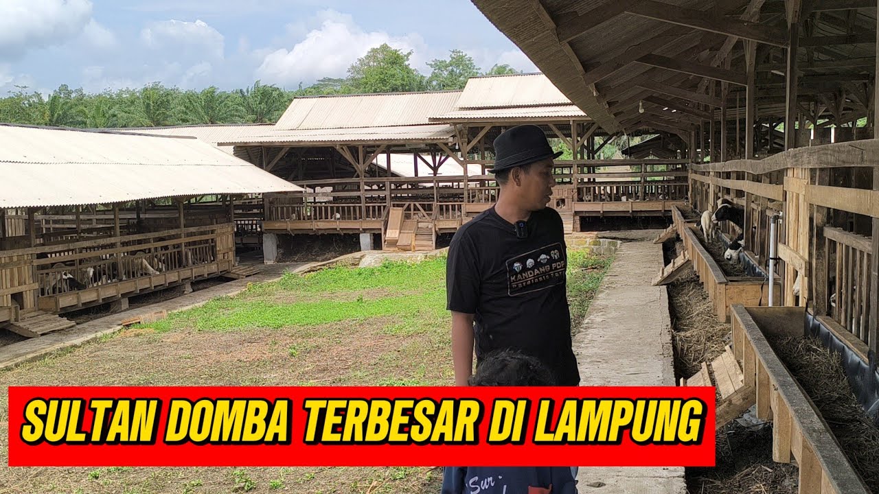 PDF FARM: PETERNAKAN TERBESAR DI LAMPUNG 2025 (0823-4144-5531)