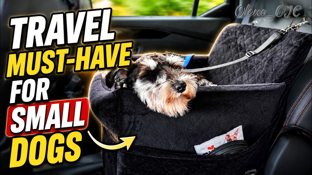Watch My Miniature Schnauzer Test This Memory Foam Dog Seat