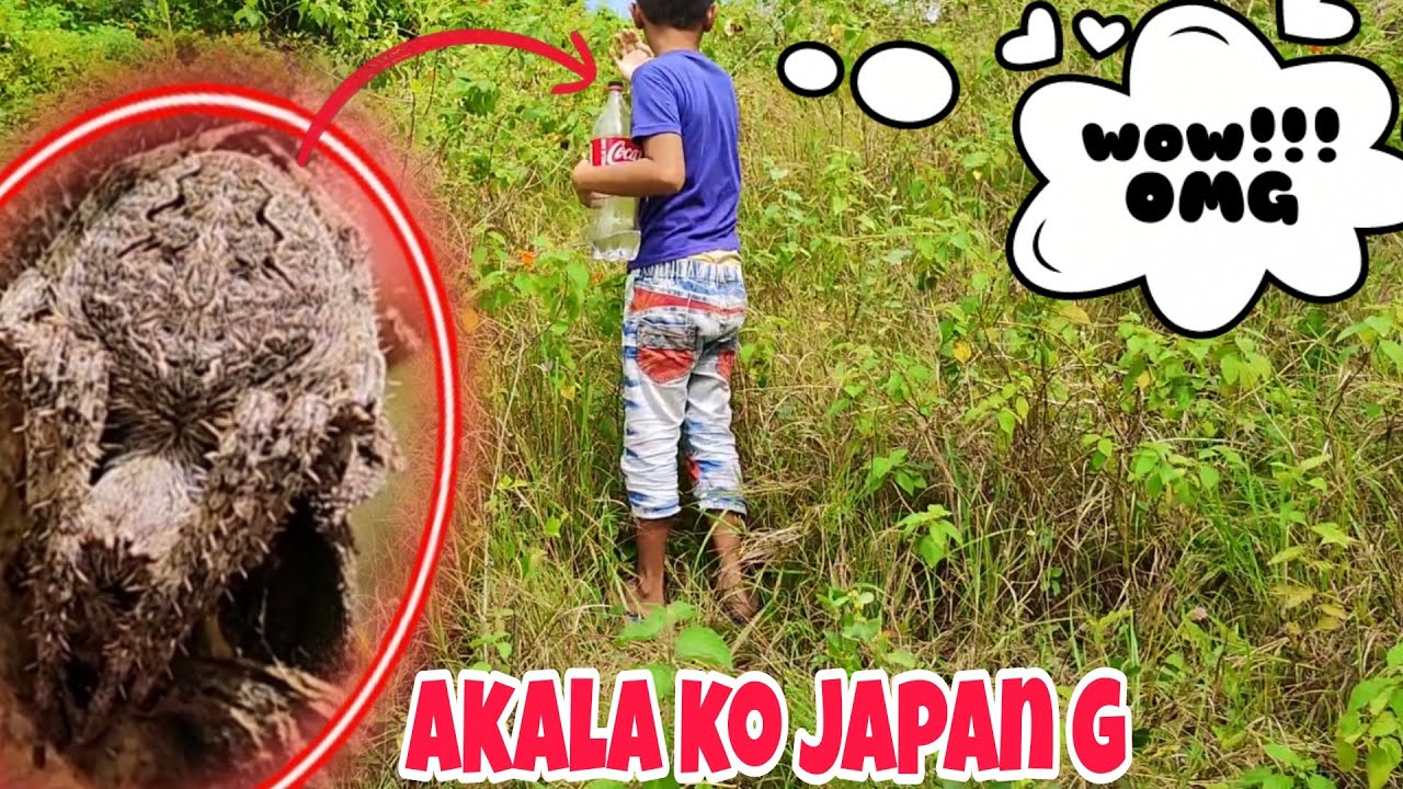 Spider Hunting /(Part 1) May nakita si dong Aron parang Japan G....#gagam pet