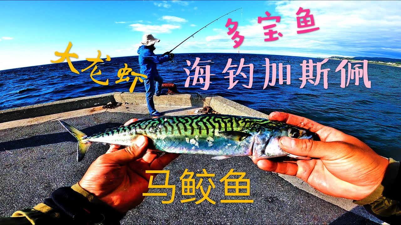 海钓加斯佩｜凌晨4点钓马鲛鱼 多宝鱼 误中波士顿大龙虾 Fishing in Gaspe caught lobster mackerel and turbot