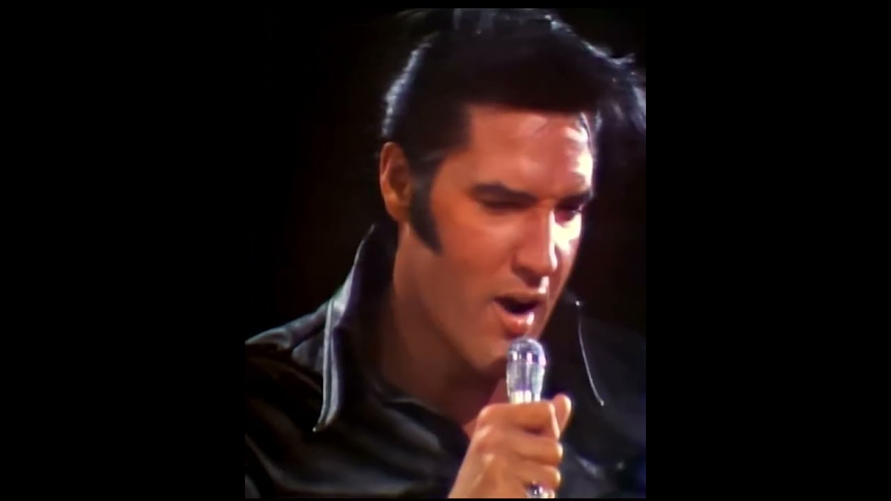 Hound Dog - Elvis Presley live