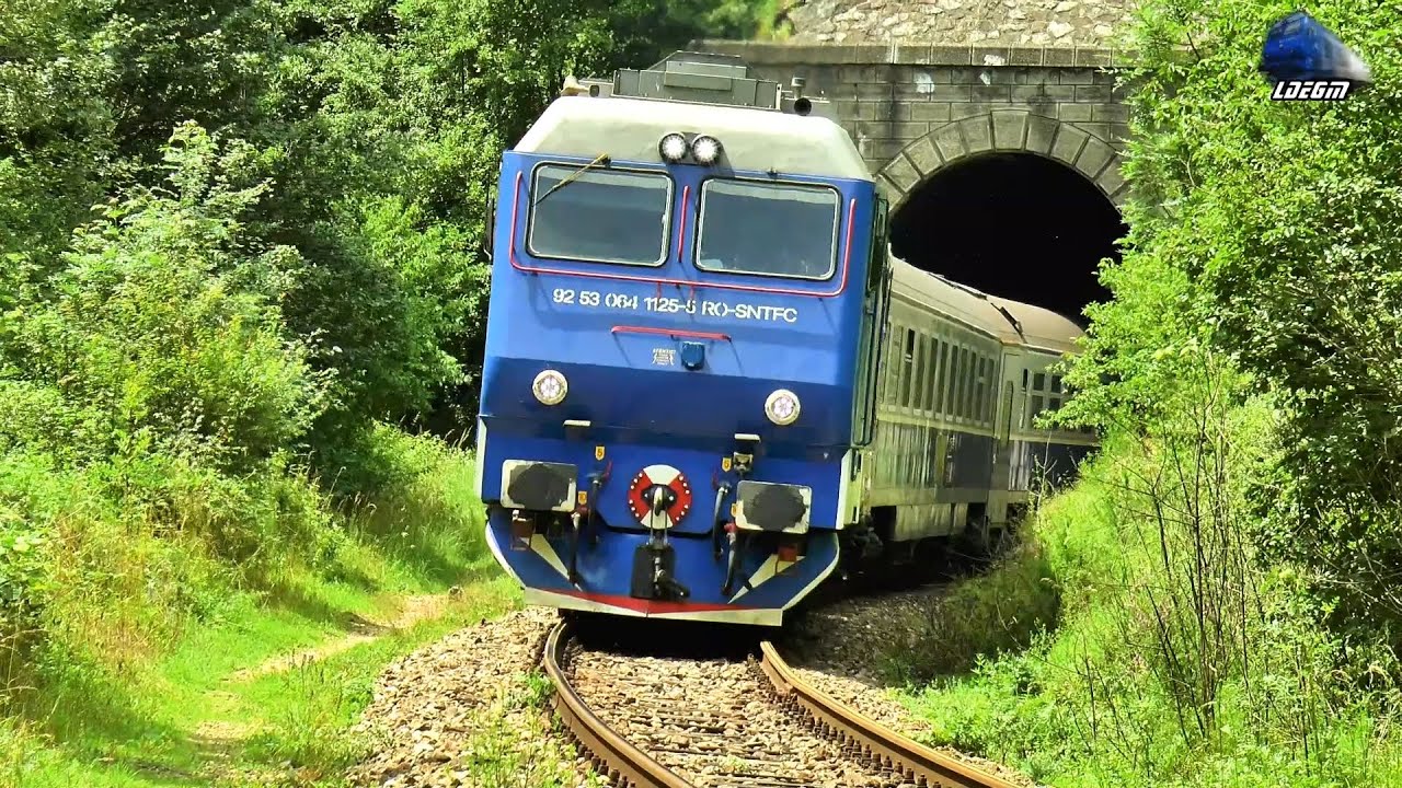 Trenuri de Călători&Marfă/Passenger&Freight Trains in Defileul Crișului Repede Canyon - 25 June 2020