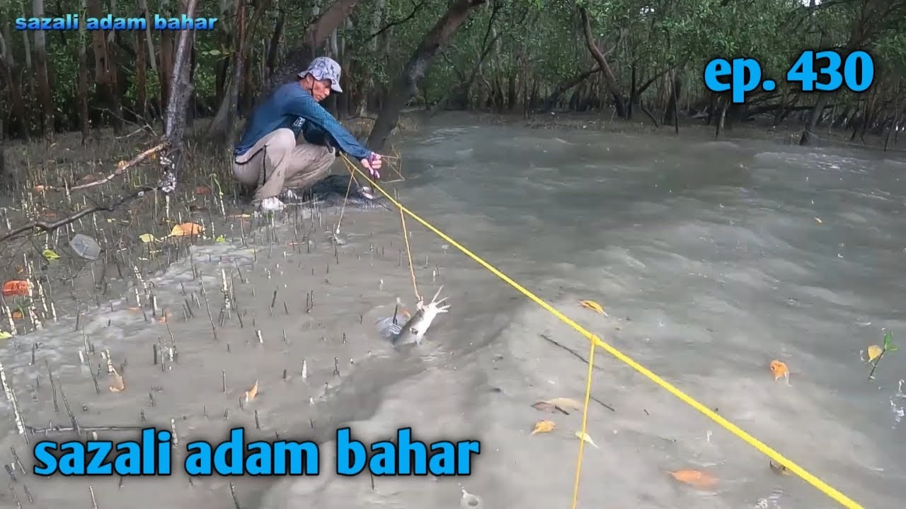 Merawai atas darat ep.430