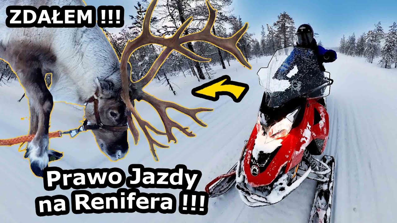 Jak Jeździć Skuterem i Reniferem? - Część Druga Arktycznego Safari !!! -  Odczuwalne -31°C (#778)