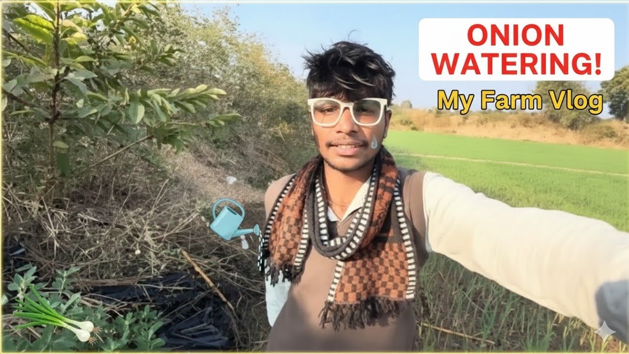 कांद्याना पाणी भरायला गेलो होतो | Vlog No.42