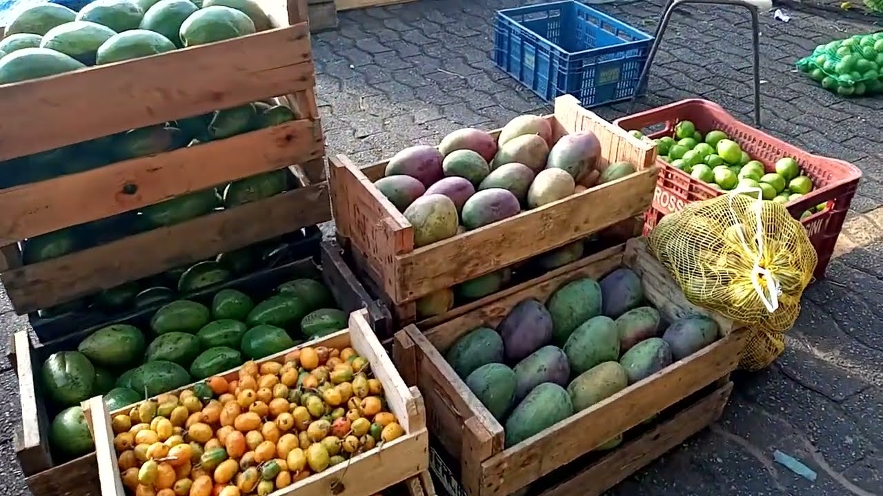 OS PRODUTOS DO CEASA DE SANTO ANDRÉ VÃO TE SURPREENDER!