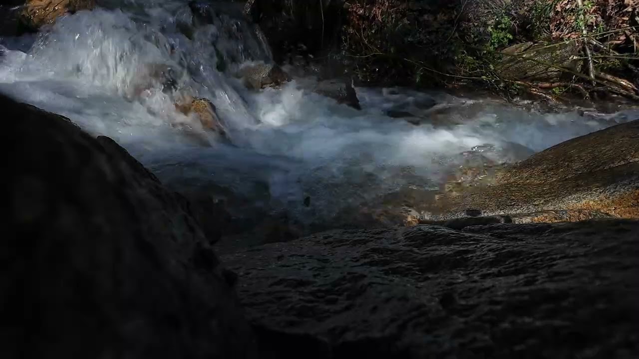 Healing River Sounds for Deep Sleep | 20 minutes Nature ASMR (No Talking)#riverasmrsounds