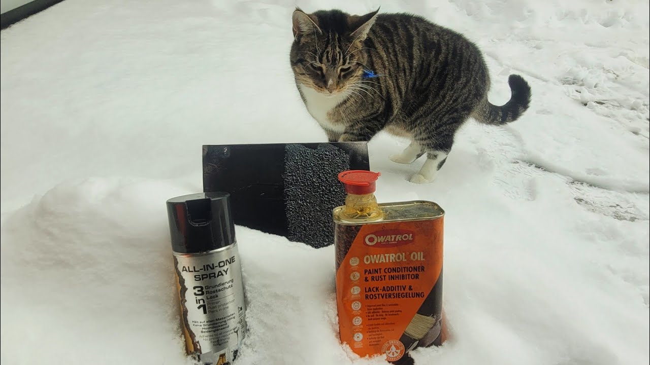  Katastrophe! Brantho Korrux 3in1 Spraydose auf Owatrol