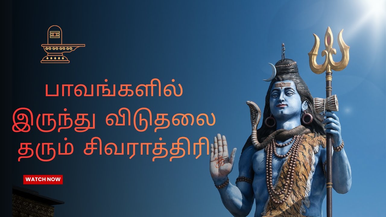 பாவங்களில் இருந்து விடுதலை தரும்  சிவராத்திரி 🙏🕉️