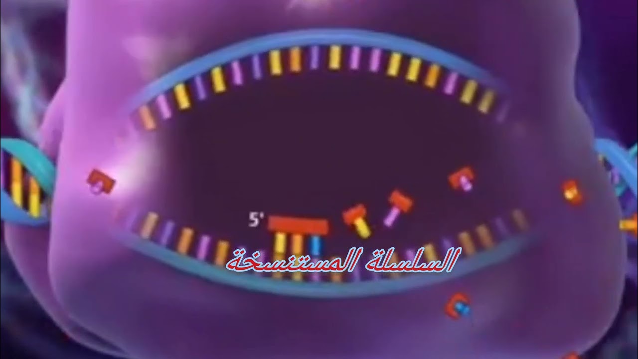 فيديو توضيحي لآلية الاستنساخ