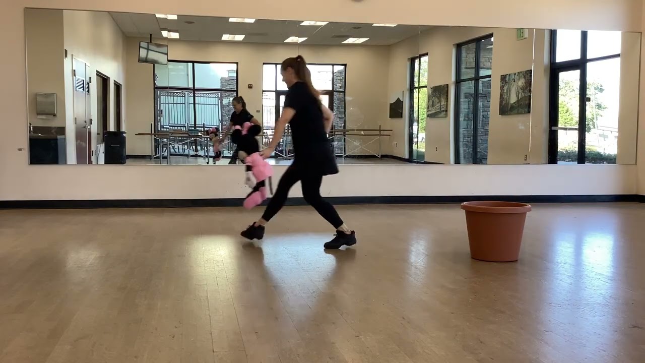 Dance Like A Daisy 