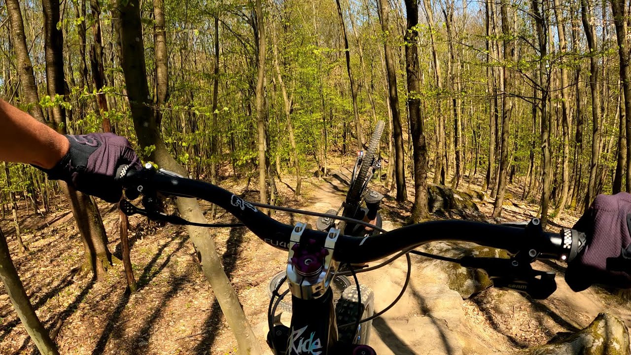 Vereinsstrecke Fuchstrail Bensheim - crash im Steinfeld | MTB Bensheim (members only)