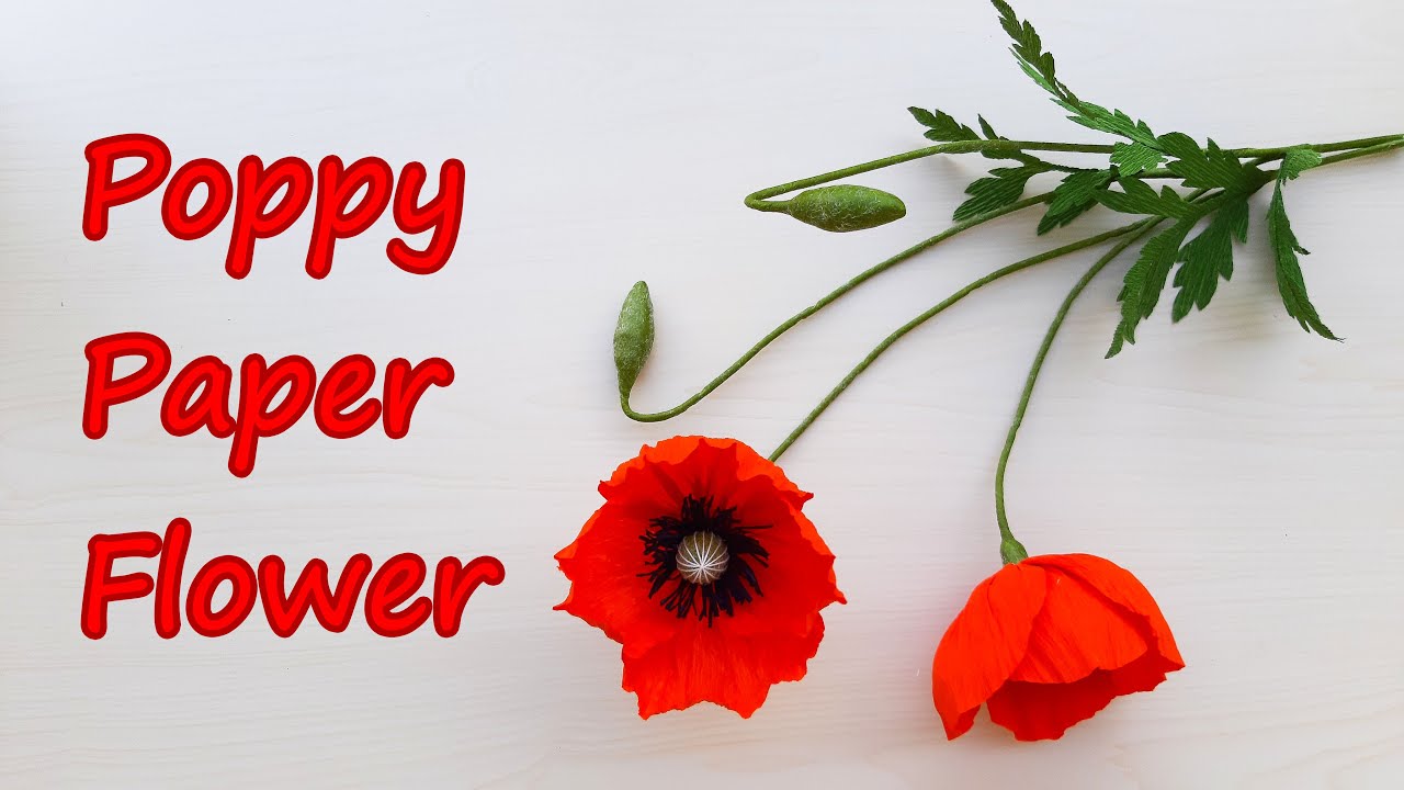 How to make Poppy flower by crepe paper | Góc nhỏ Handmade