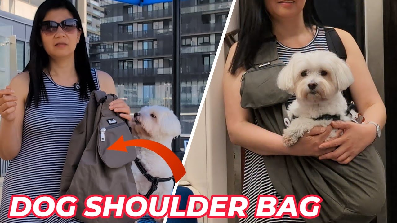 Dog Shoulder Bag: Ultimate Hands-Free Dog Carrier Review & Demo