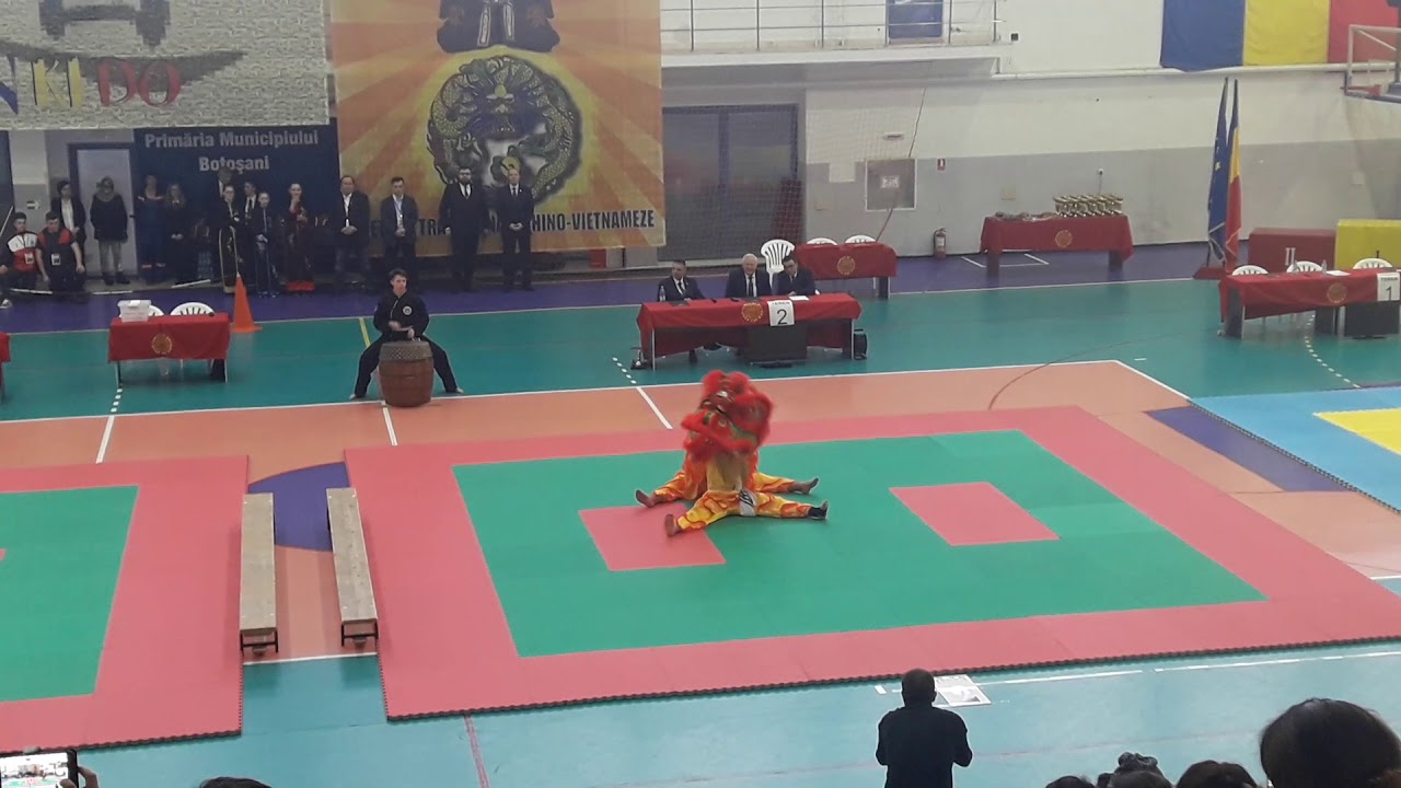 Dansul Dragonului Vu Lan - Campionatul National de Qwan Ki Do pentru Copii