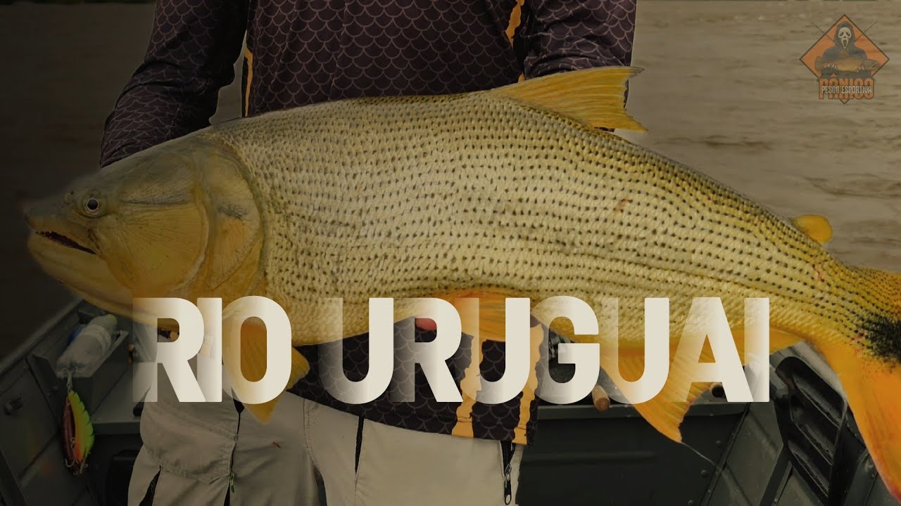 A PRIMEIRA DE DOURADOS 2026 - RIO URUGUAI