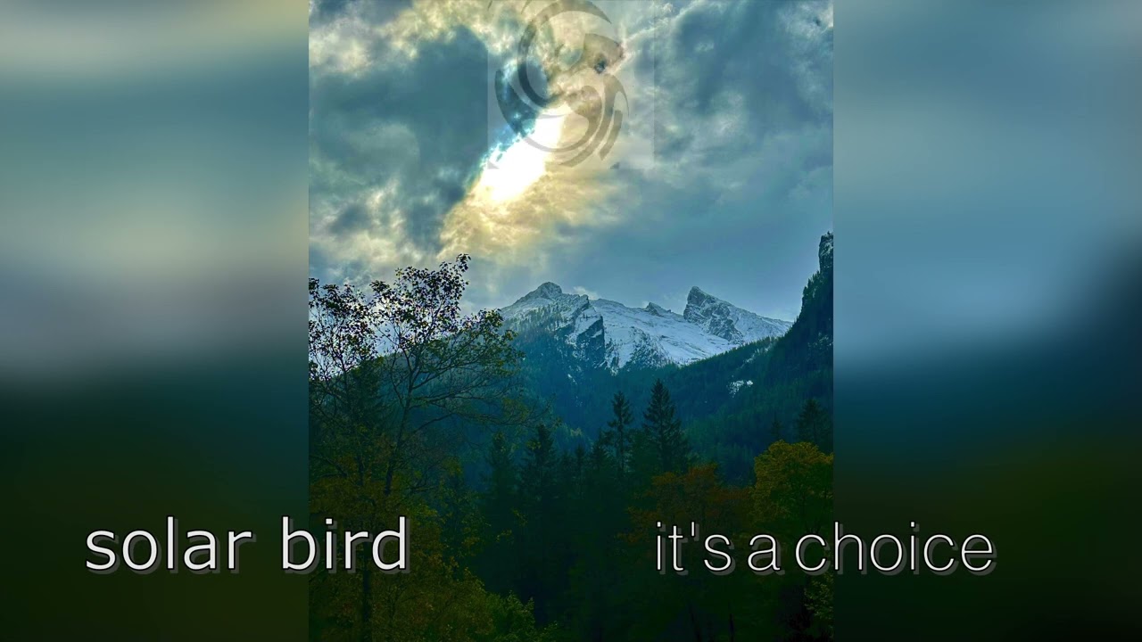 SOLAR BIRD   it's a choice