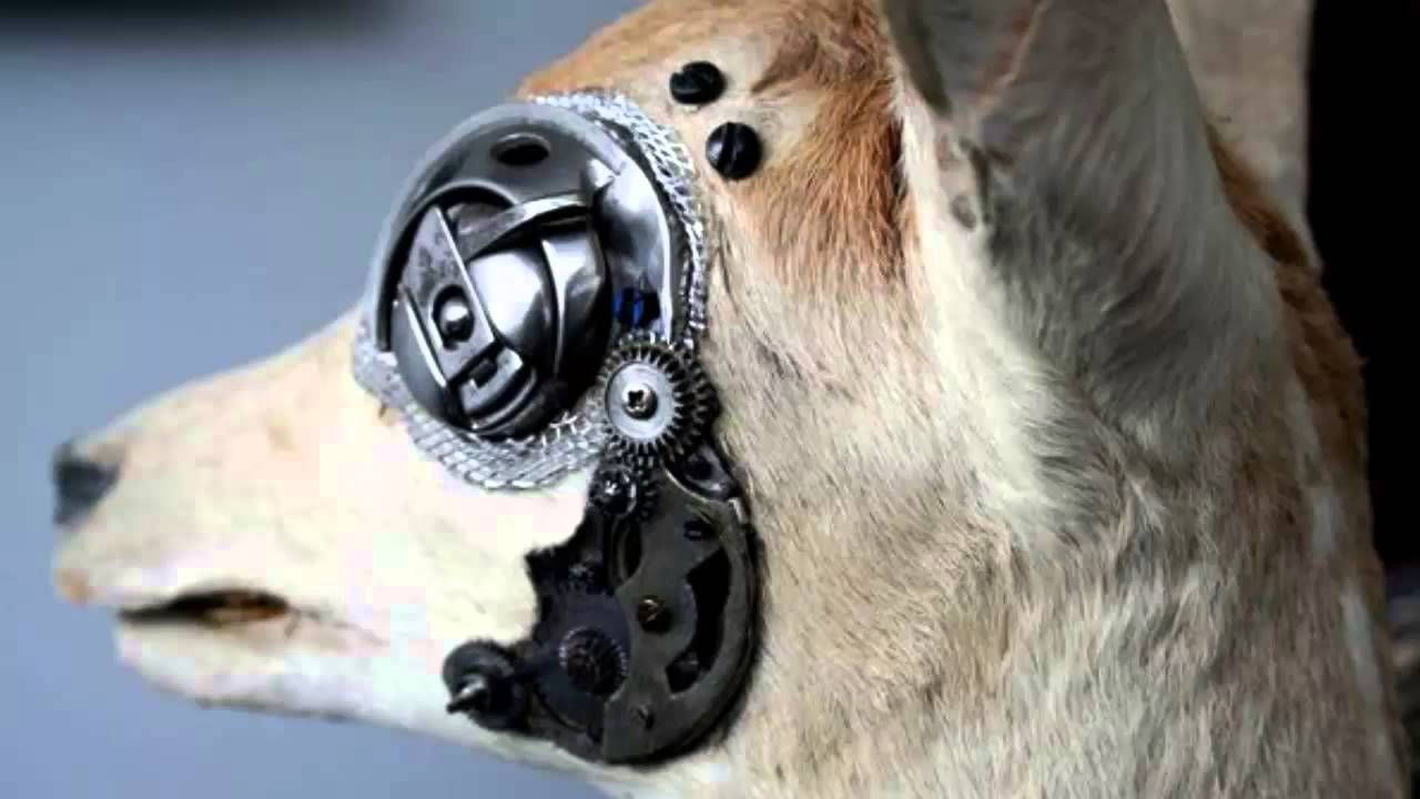 SCP-217 