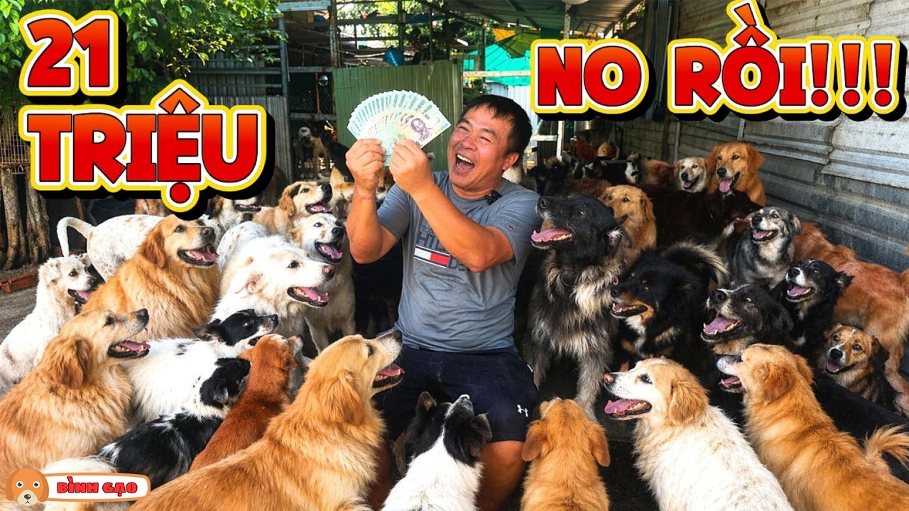 Hỗ Trợ 21 Triệu Cho Người Đ&agrave;n &Ocirc;ng Liệt D&acirc;y Thần Kinh Số 7 Nhưng Cưu Mang Hơn 300 B&eacute; Ch&oacute; - B&igrave;nh Gạo