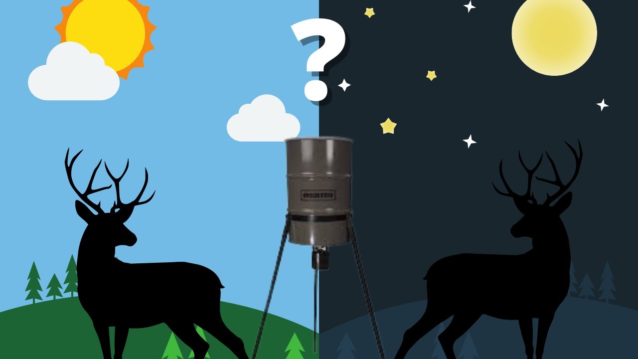 When Should I Set the Deer Feeder Time?
