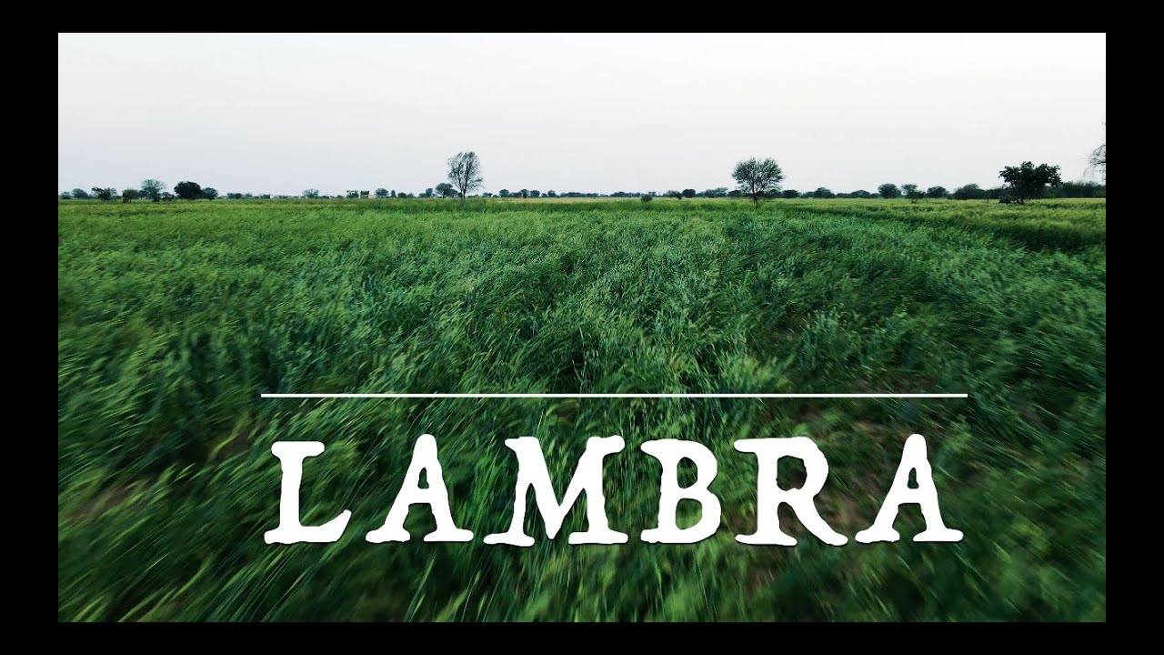 Lambra Drone View