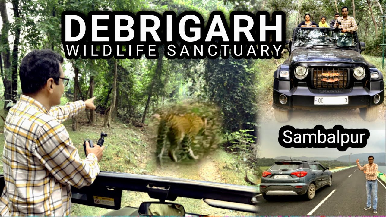Debrigarh Wildlife Sanctuary | Hirakud Dam | Debrigarh Jungle Safari | Odisha Tour