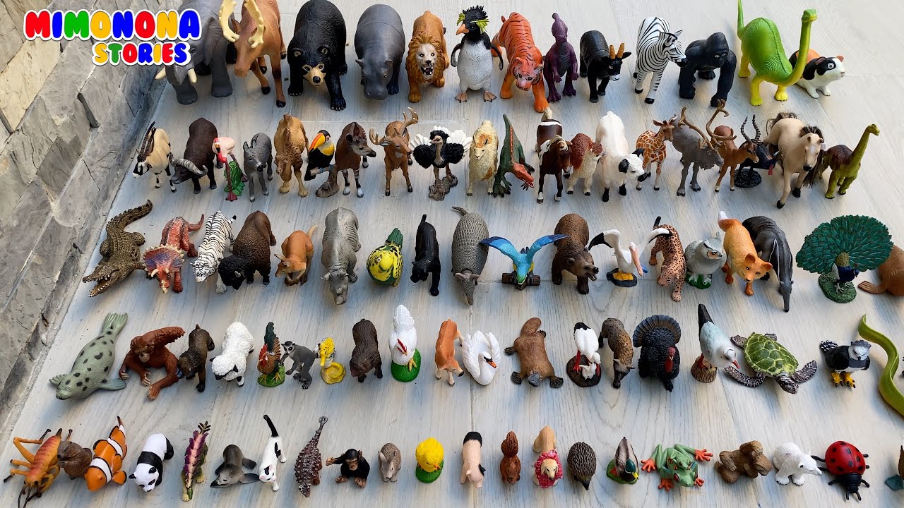 Colección de Animales Ampliada: Búho Armadillo Anguila Orangután Macaco y mas ✨ Mimonona Stories