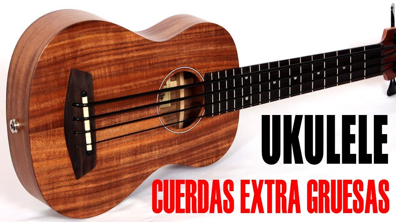 Haciendo un Bajo Acústico Casero | Bajo Tipo UBASS Fácil y Barato