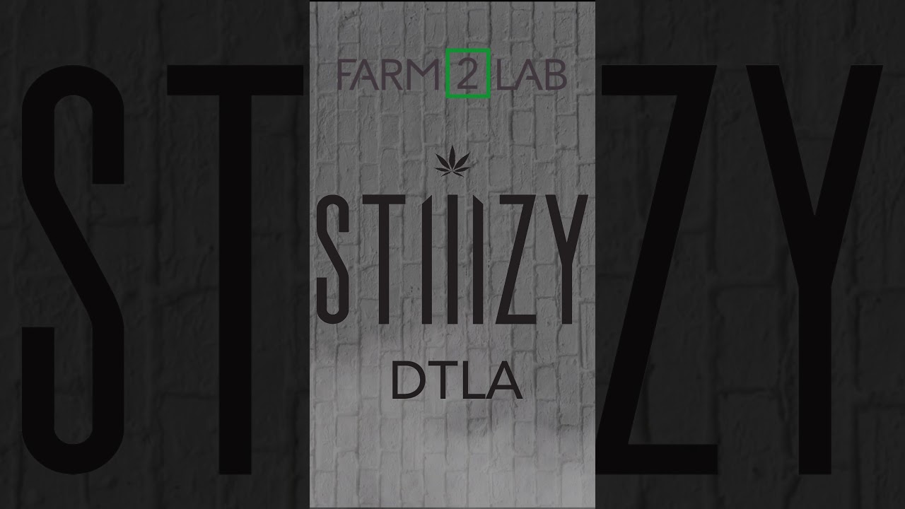 Stiizy promo story
