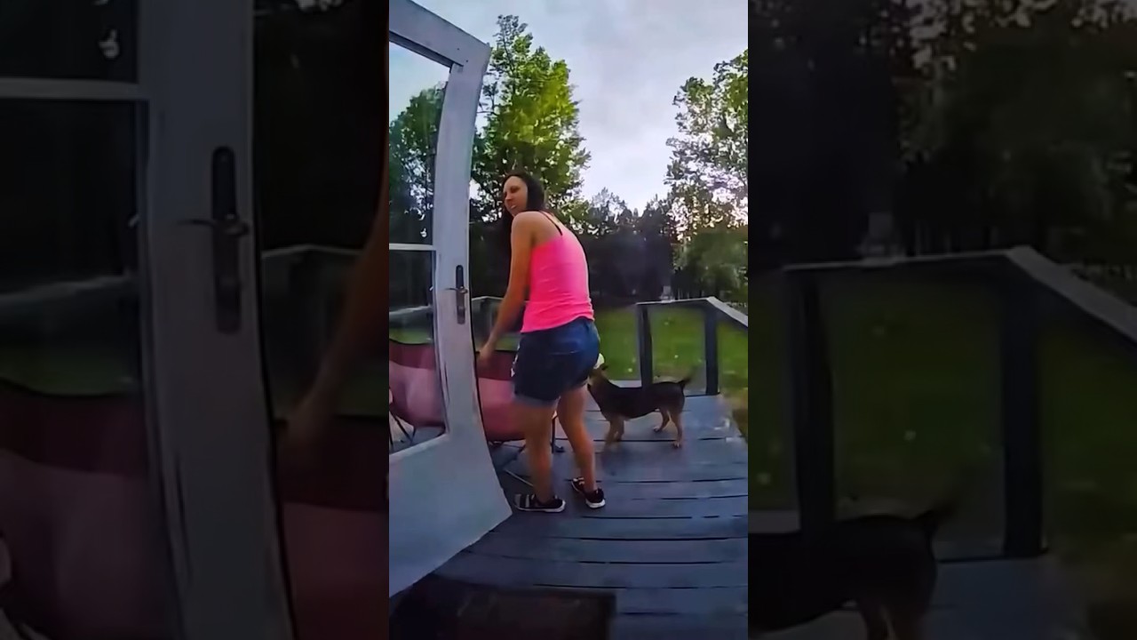 Dogs afraid of thunder #animals #heartwarmingpets #animallover