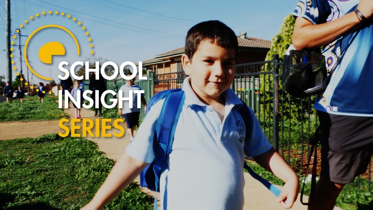 Working together as a community of learners – School Insight Series