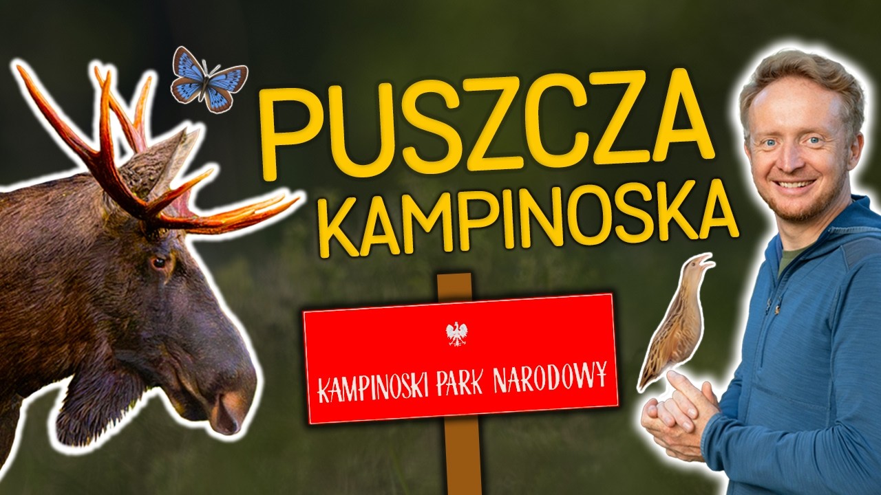 Puszcza Kampinoska 🌳 Rośliny, zwierzęta, wydmy i człowiek -🌲 o Lesie 🌲 odc. 61