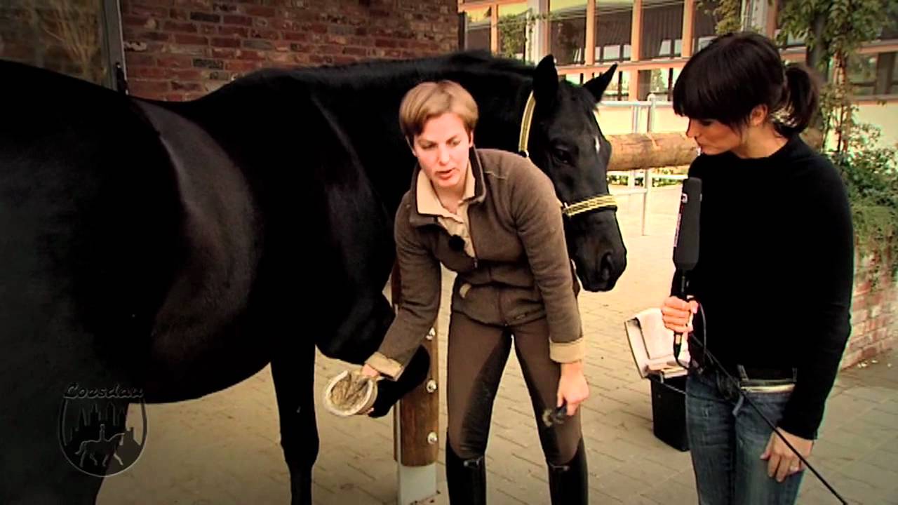 Loesdau Lessons: Basics mit Kati: Hufe eines Pferdes auskratzen