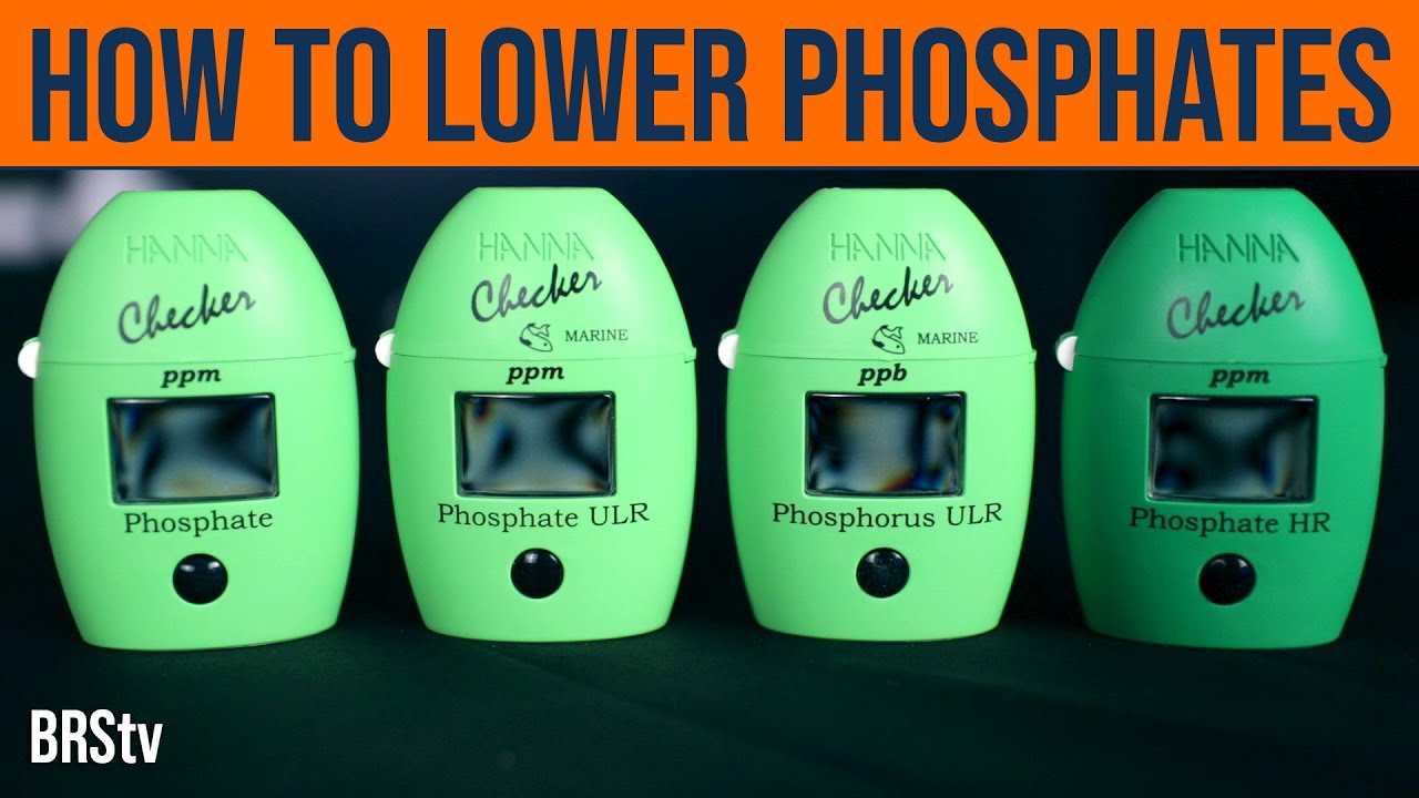 How to Lower Phosphates in a Reef Tank: Mastering Nutrient Control