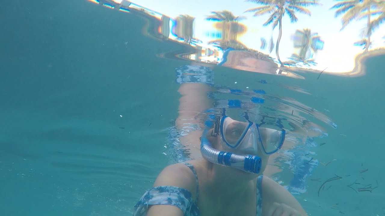 Bahamas Sunset Snorkel