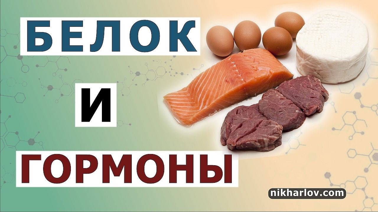 Как белковая пища влияет на гормоны, регулирующие аппетит и контроль веса.