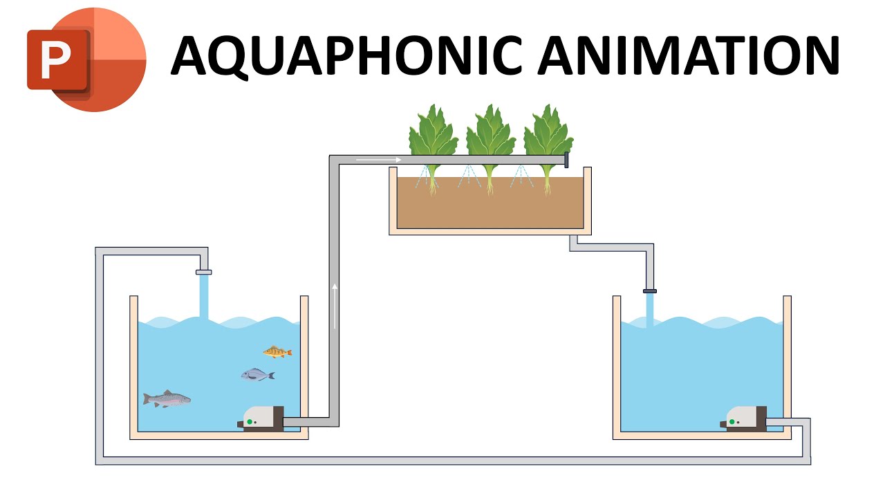 How to Make Aquaponic Animation in PowerPoint